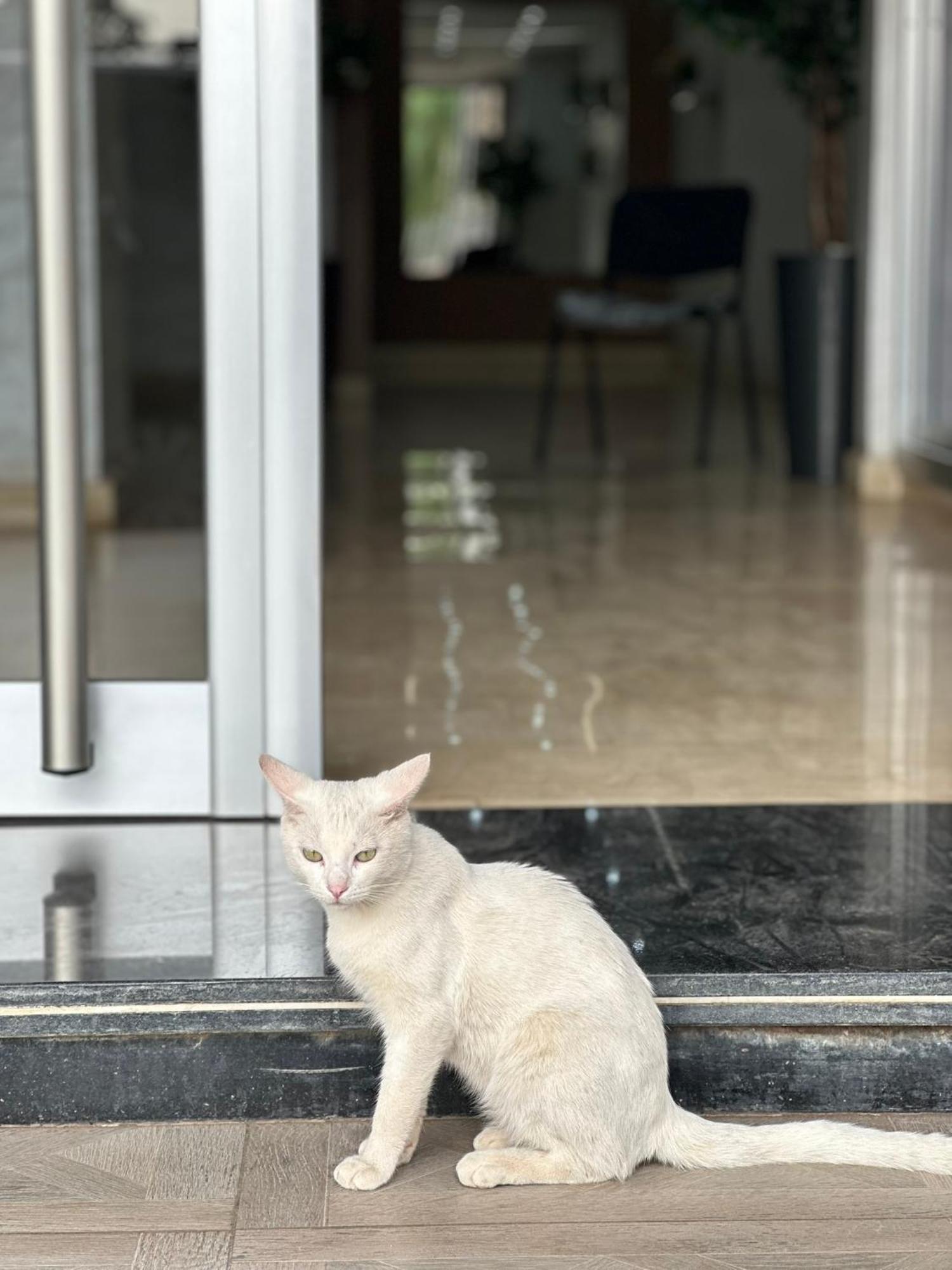 Luxe Appartement เบอร์คาน ภายนอก รูปภาพ